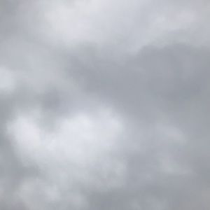 Meet your Posher, Iris